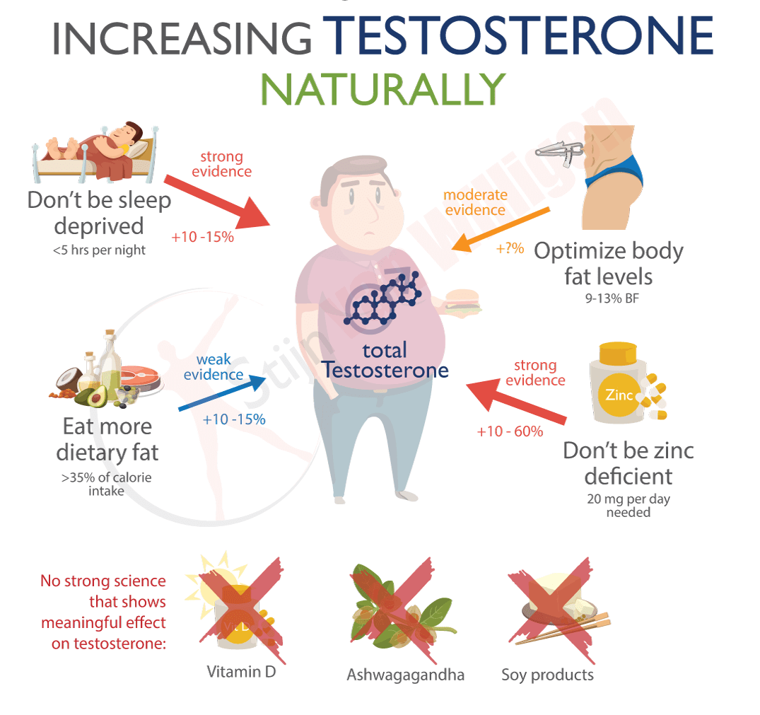 10 Characteristics Of Testosterone