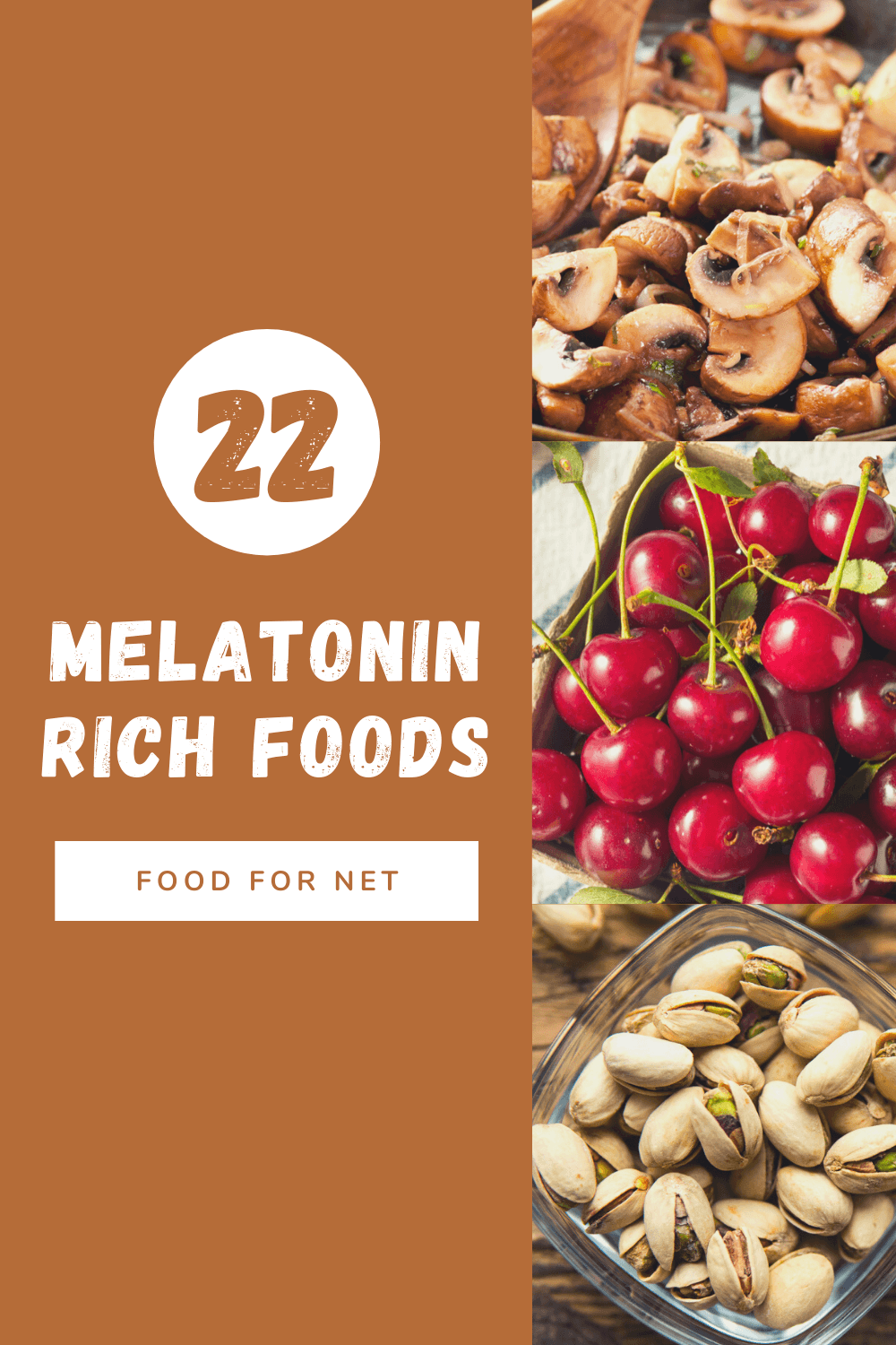 22 Melatonin Rich Foods That Can Help You To Nod Off