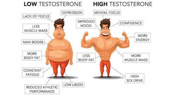 5 Natural Ways To Boost Testosterone Levels