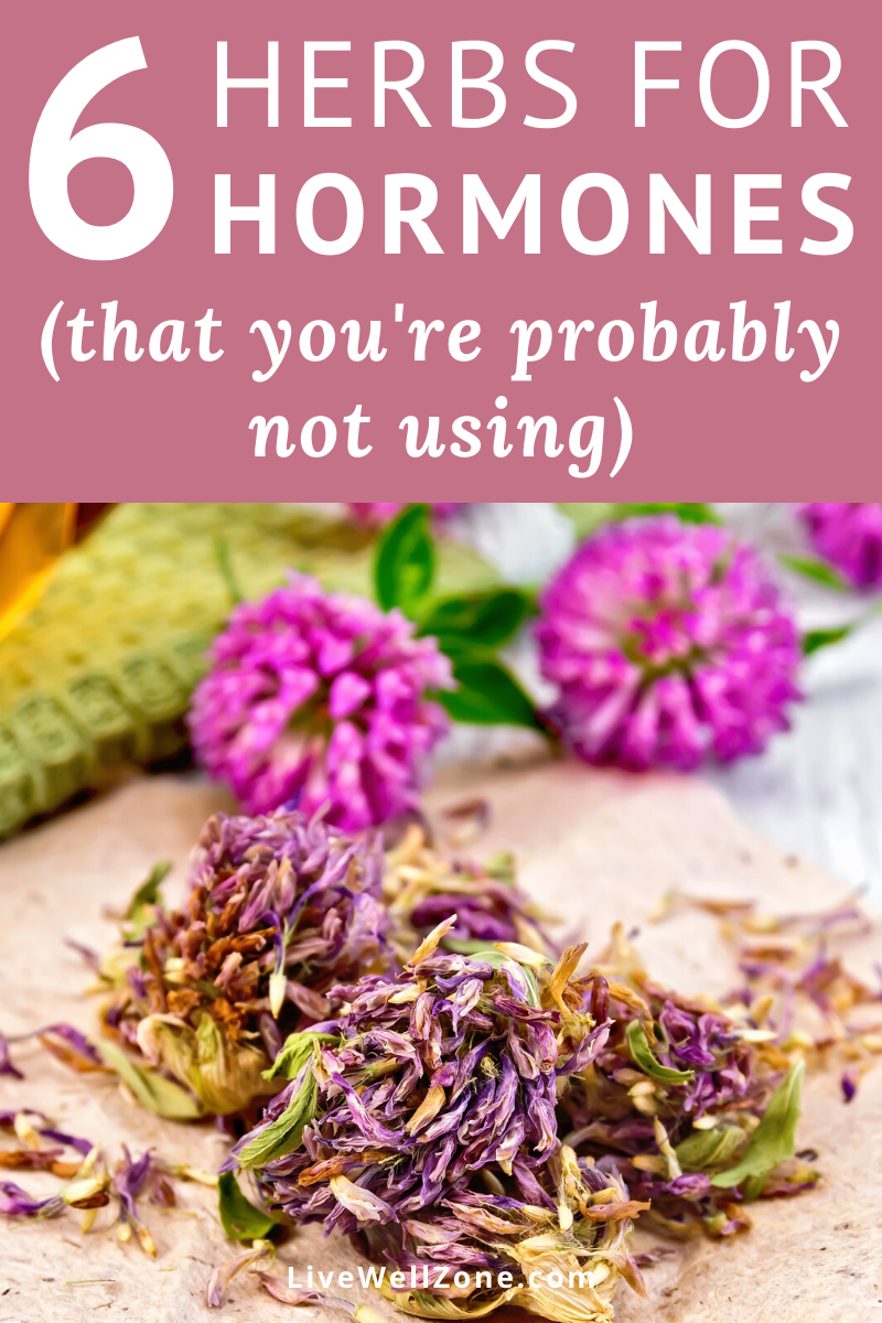 6 Herbs That Balance Hormones (That You