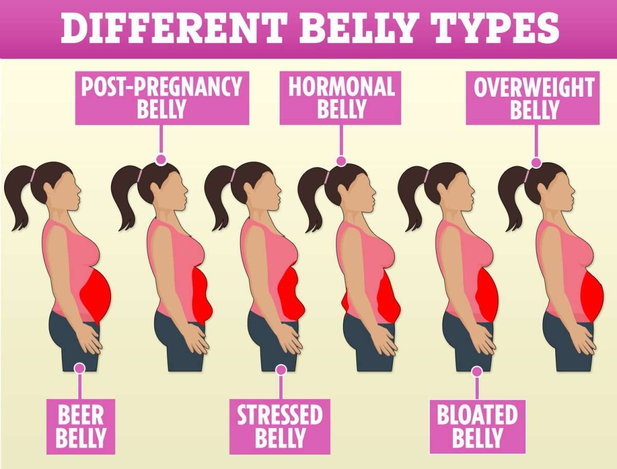6 Types Of Stubborn Belly Fat &  How To Get Rid Of It ...