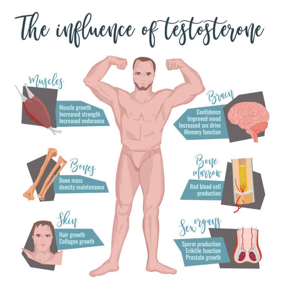8 Best Testosterone Boosters for Muscle Gain (2019)