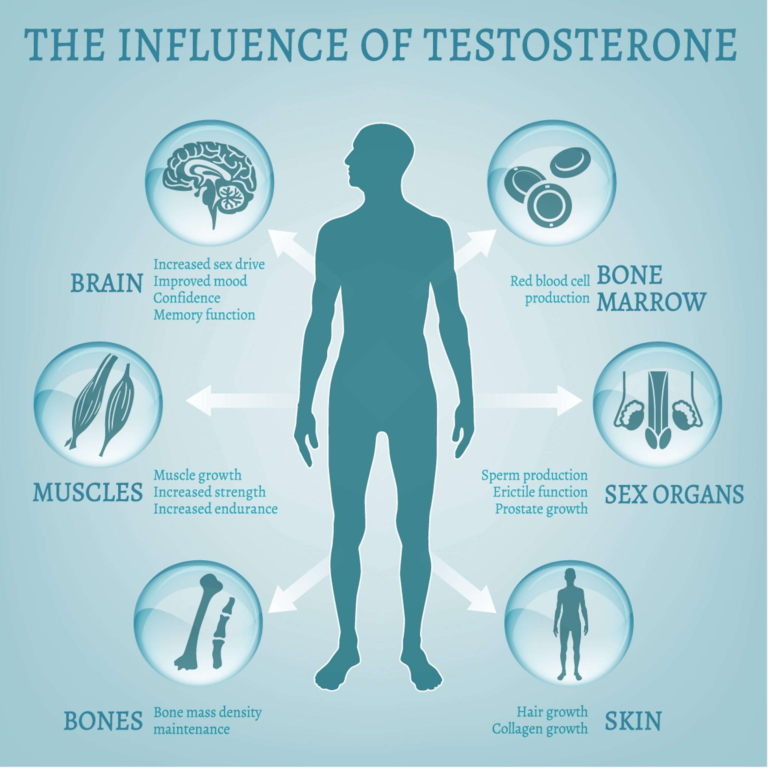 All About Testosterone Therapy
