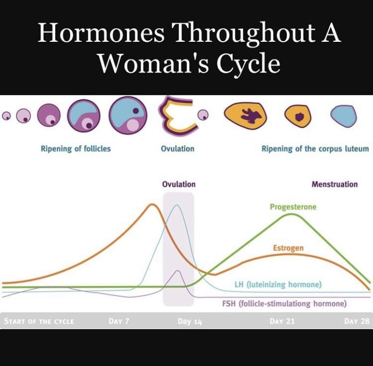 Balancing Female Hormones and Optimizing Fertility
