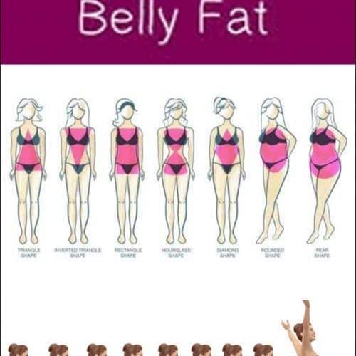 Belly Fat Chart