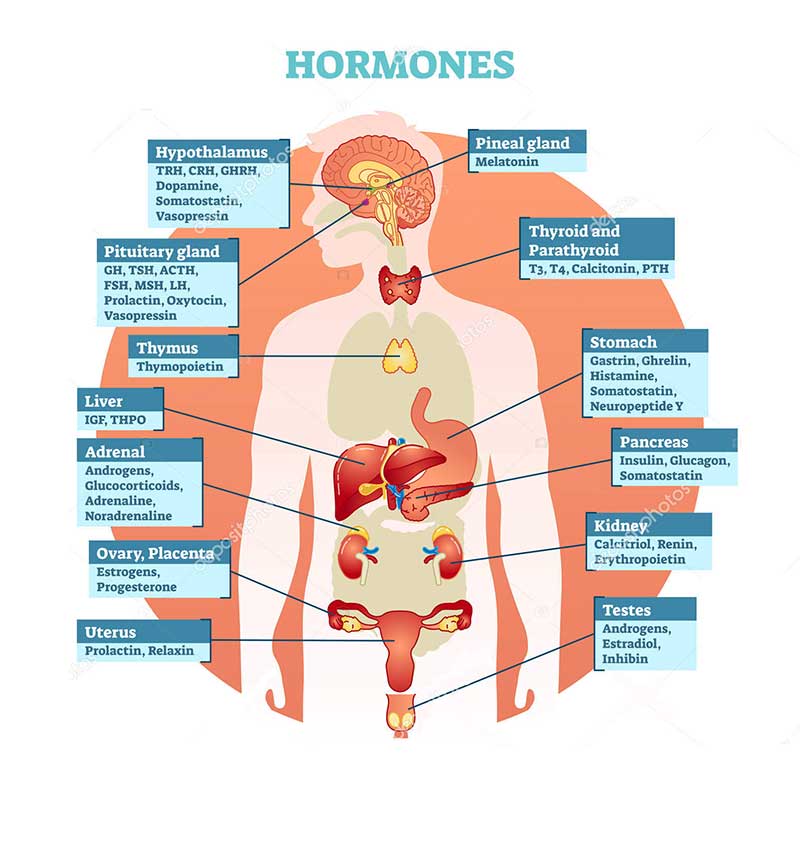Bioidentical Hormone Replacement Therapy Miami
