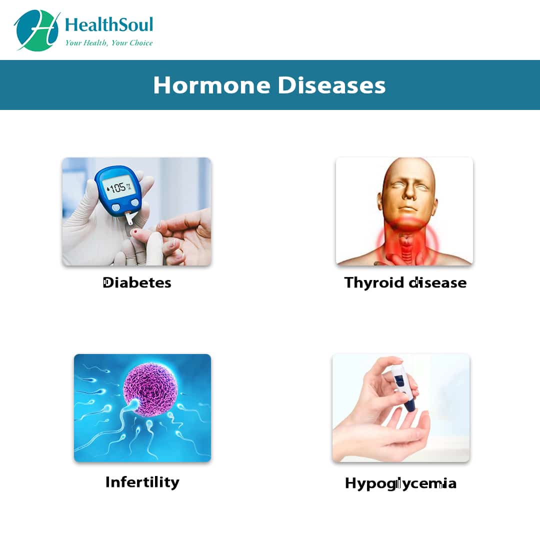 Blood Tests for Hormones  Healthsoul