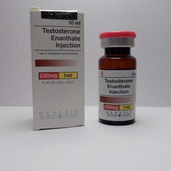Buy Testosterone Enanthate Genesis (250 mg/ml) 10 ml ...