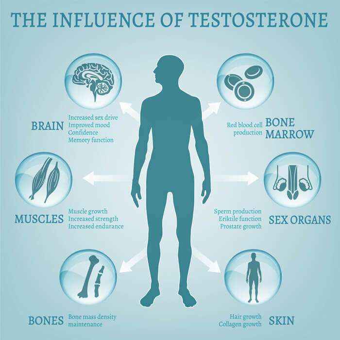 Can lack of testosterone make you tired?