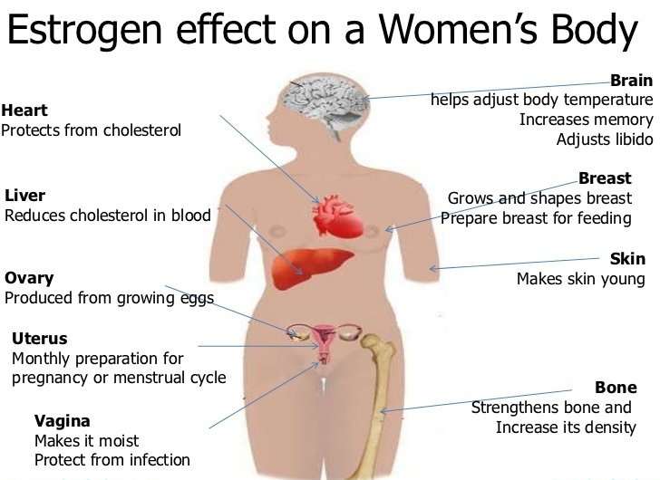 Can Women Boost Estrogen Naturally? Vagifirm