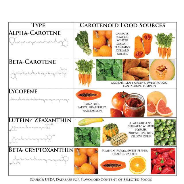 Carotenoid Foods May Protect Against Certain Breast Cancers
