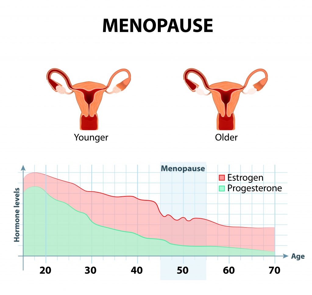 Could Blocking A Reproductive Hormone In Menopausal Women Result In ...
