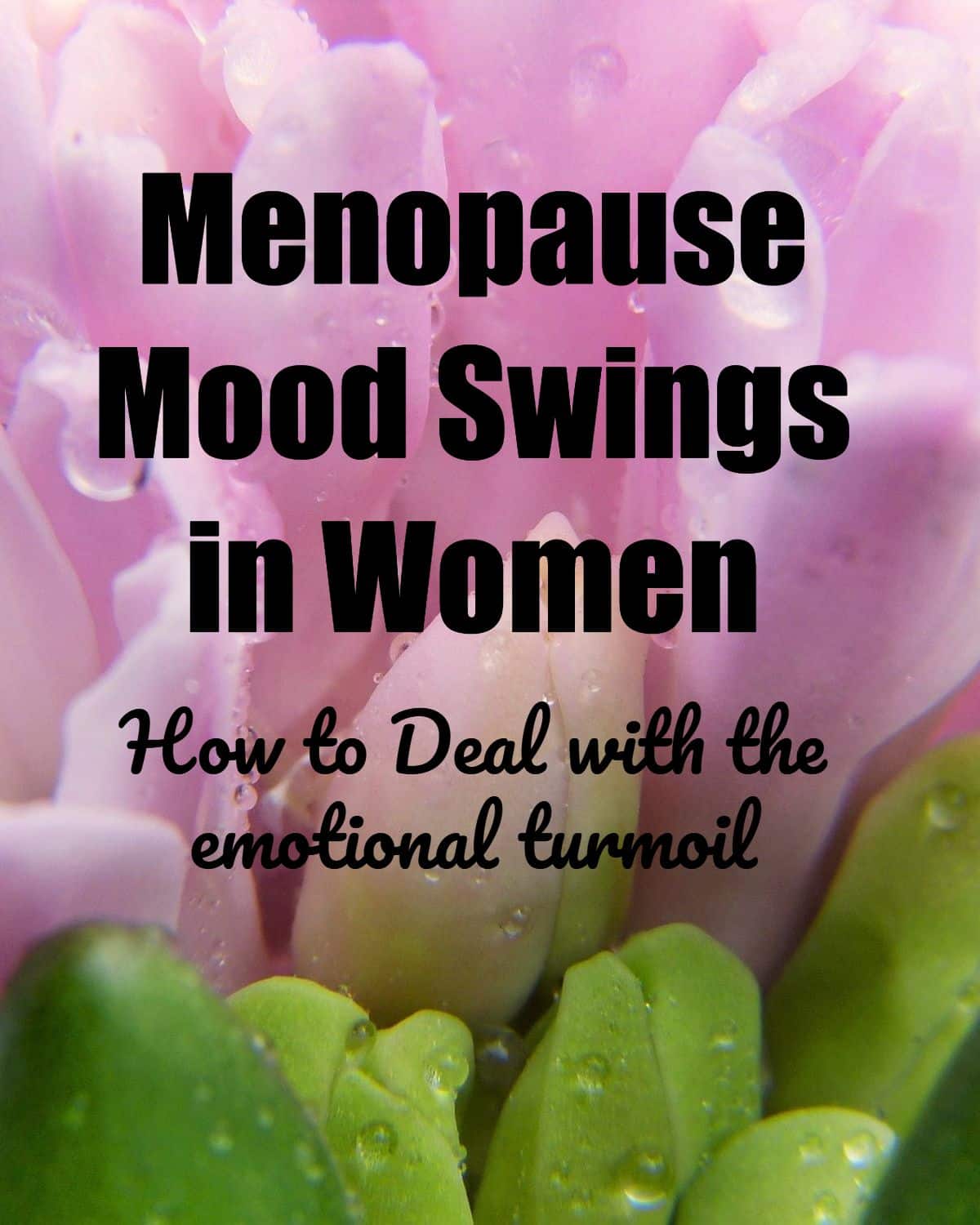 Dealing With Womens Mood Swings