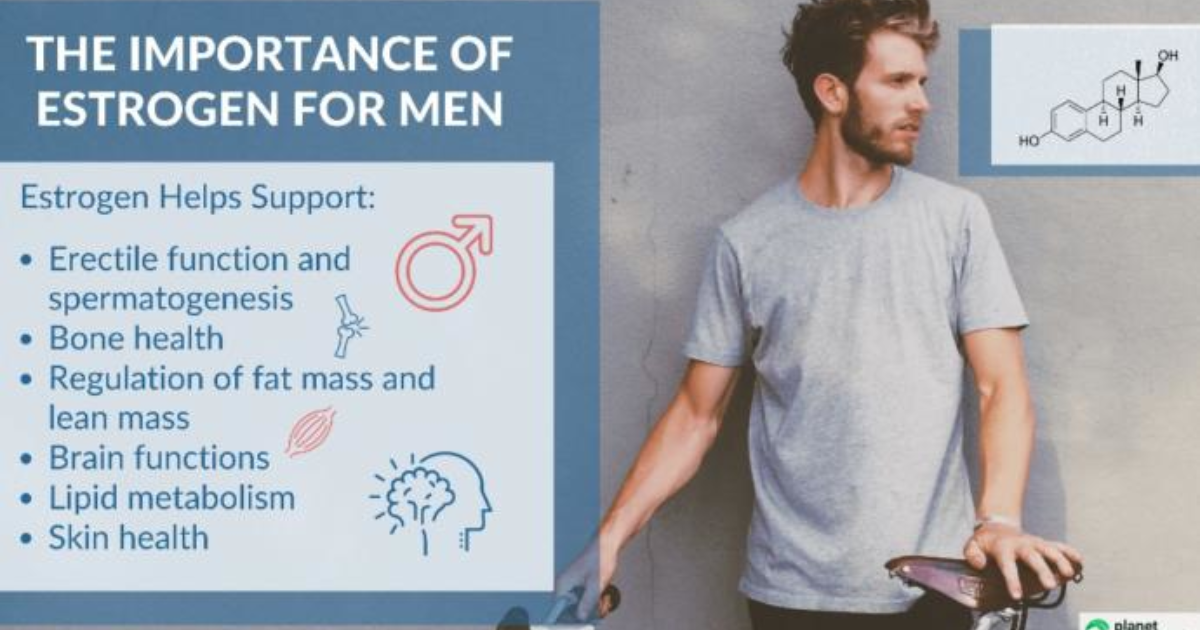 Do you know what the effect of estrogen is on men ...
