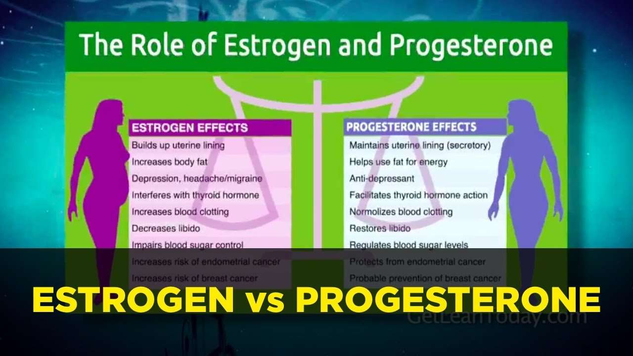 Estrogen vs Progesterone Hormonal Dominance: Control Low ...
