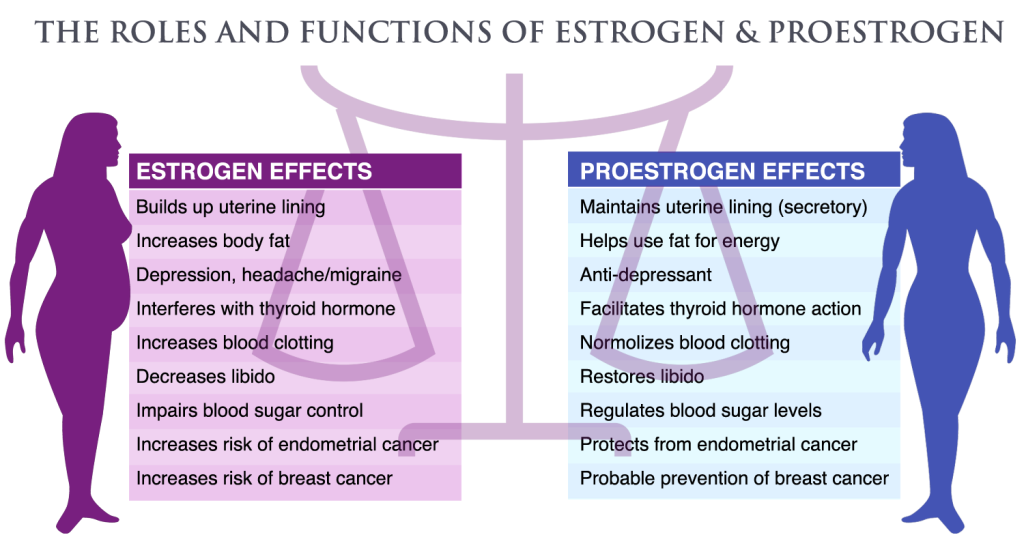 Factors Causing Estrogen Dominance