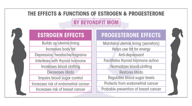 Fix Your Fat Fighting Hormones Day 1: Estrogen