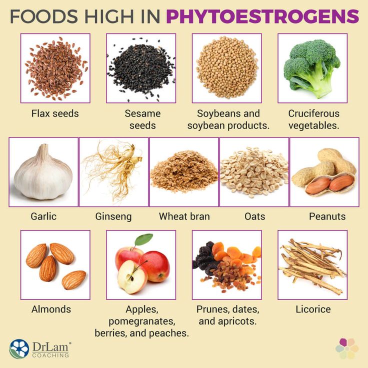 Foods High in Phytoestrogens in 2021