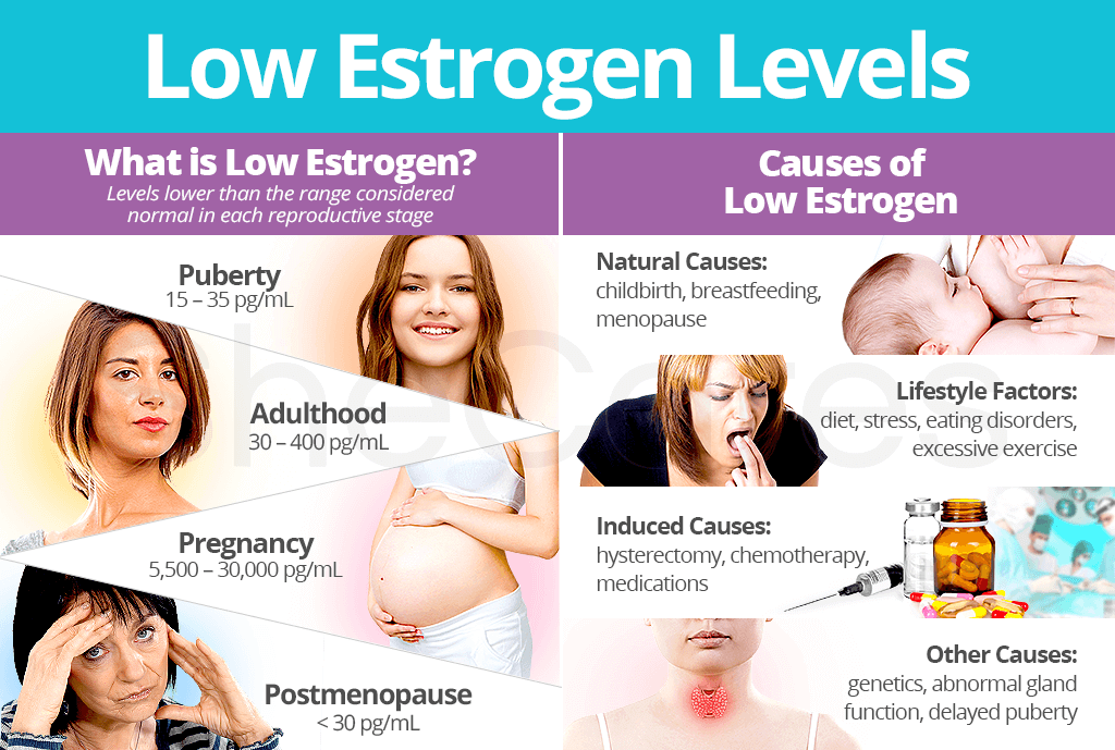 Foods That Lower Estrogen