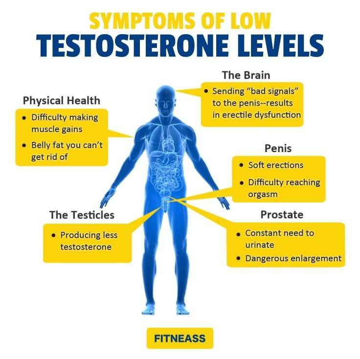 Good Insight: Is Exercise Lowering Your Testosterone ...