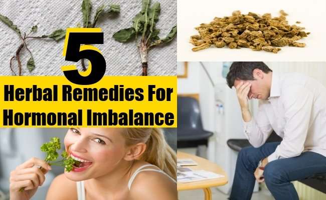 Herbal Remedies For Hormonal Imbalance