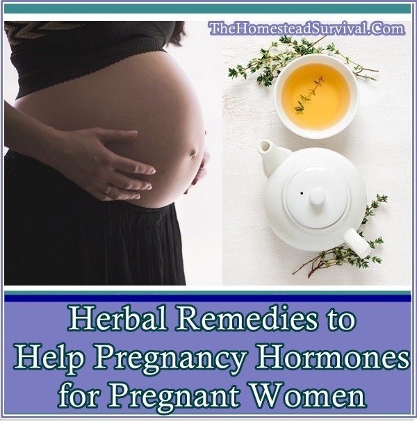 Herbal Remedies to Help Pregnancy Hormones for Pregnant Women