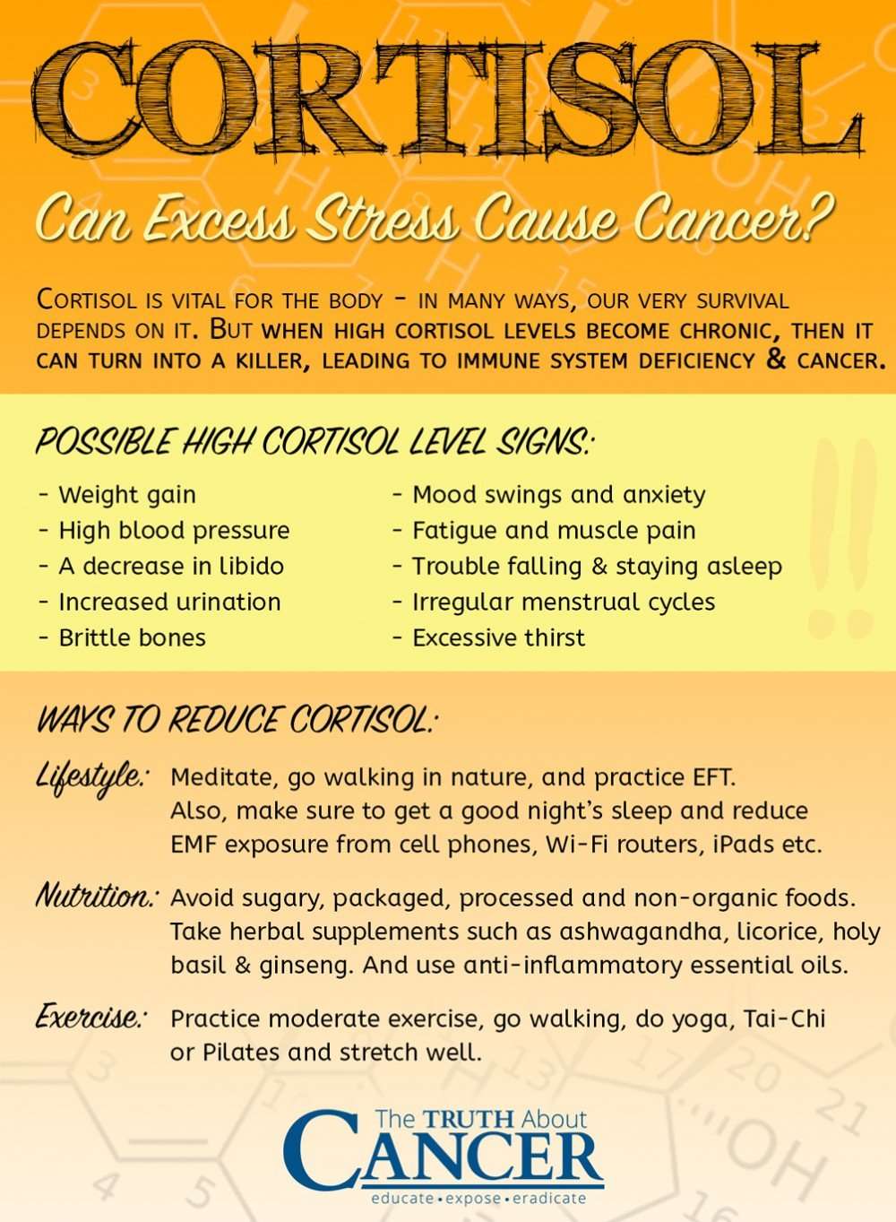 High Cortisol Levels and Breast Cancer: What