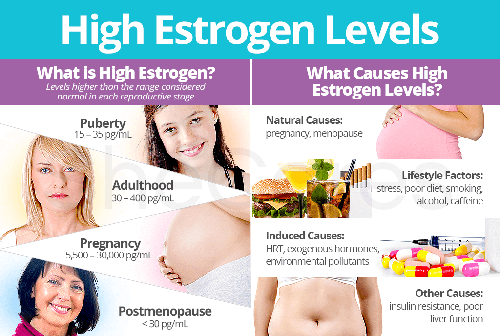 High Estrogen Levels: About and Causes