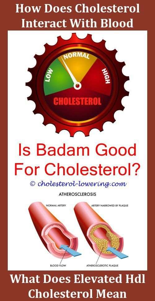Highcholesterolmedication How Can I Check My Cholesterol ...