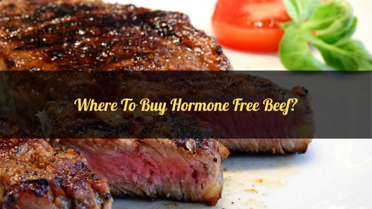 Hormone Free Beef: Where To Buy And How To Choose The Best ...