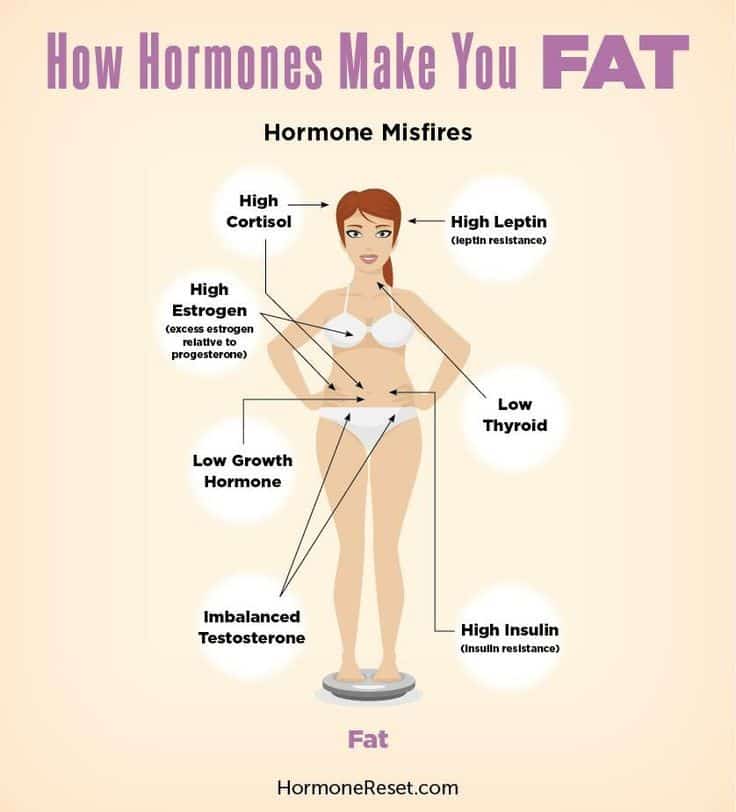 Hormones, minerals, and supplements and the role played in Health ...