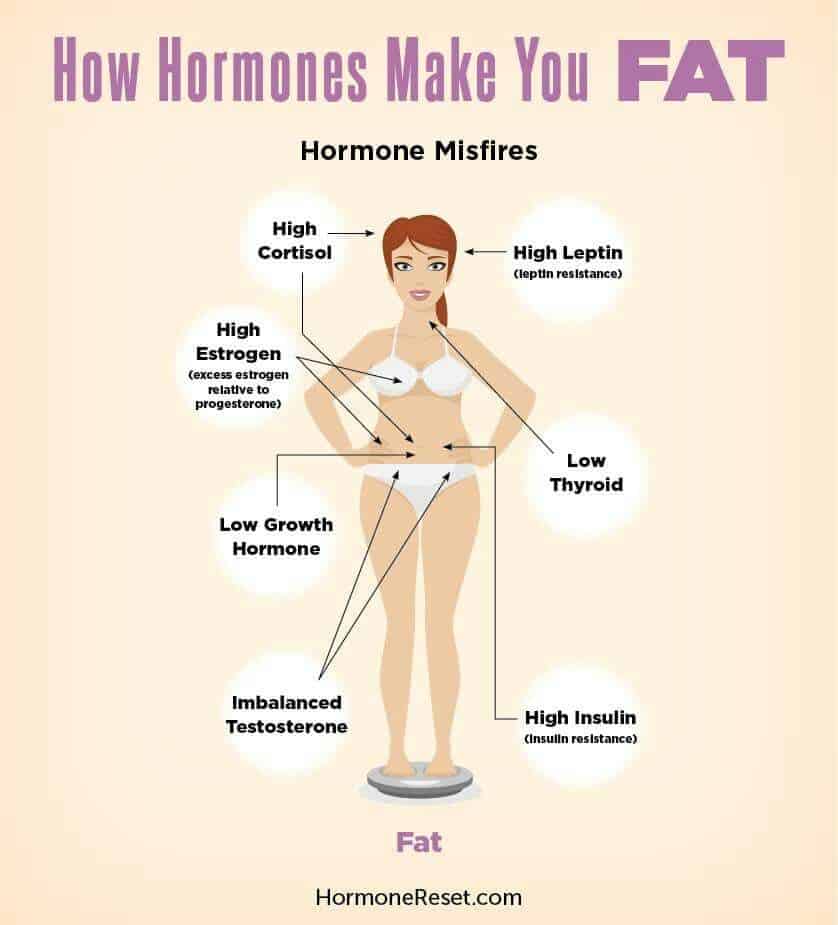 Hormones (With images)