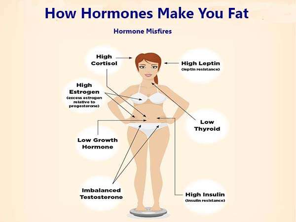 How Does Hormonal Imbalance Cause Weight Gain and Treatment