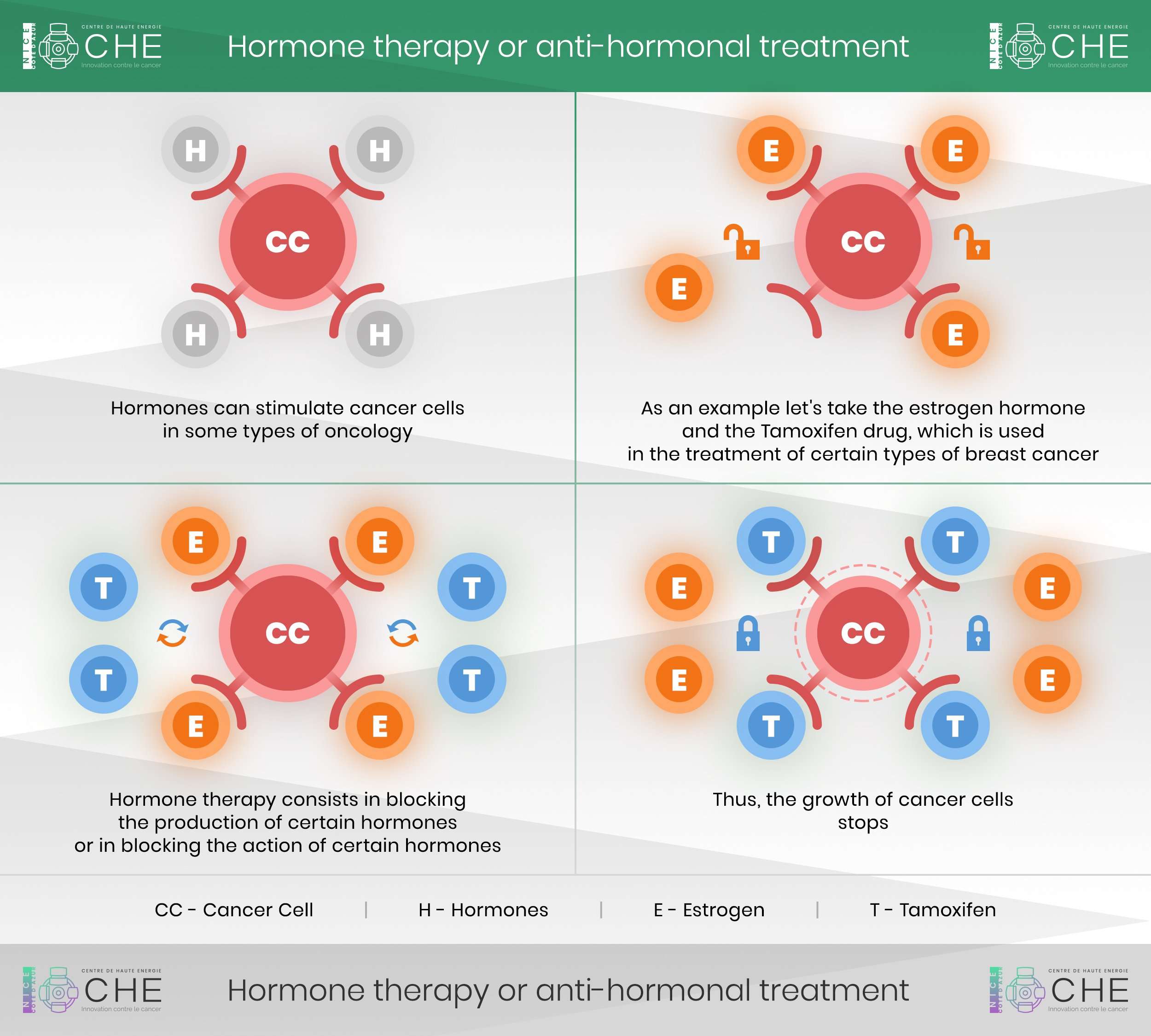 How does hormone therapy work?