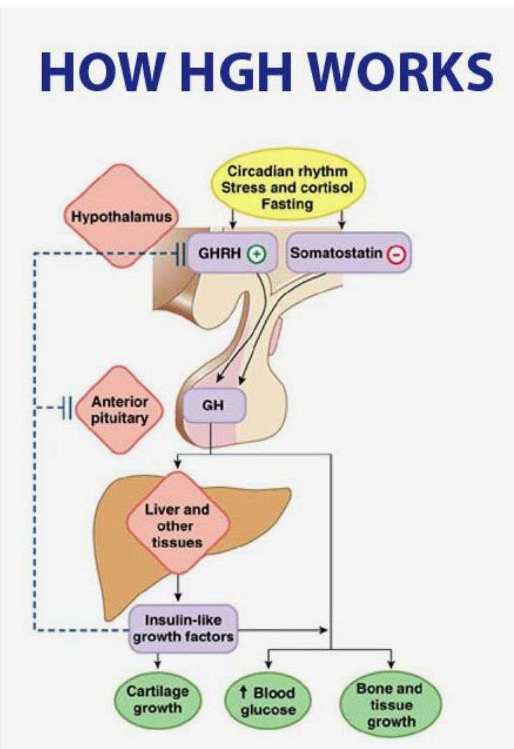 How HGH is produced in the body...depletion starts at 20 ...