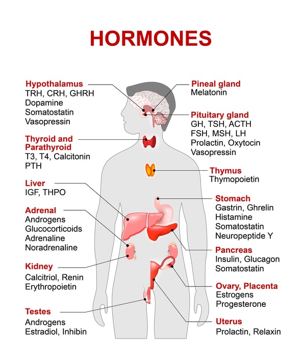 How Hormonal Changes in Men Affect Erectile Function