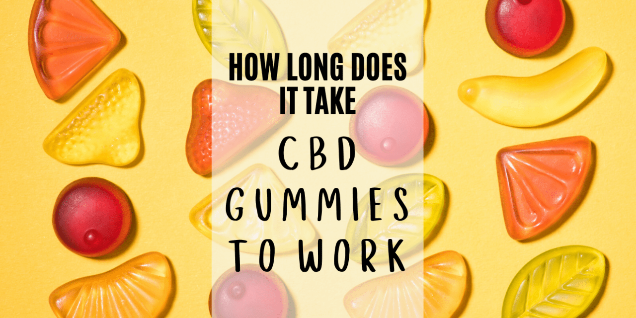 How Long Does It Take For CBD Gummies to Work?