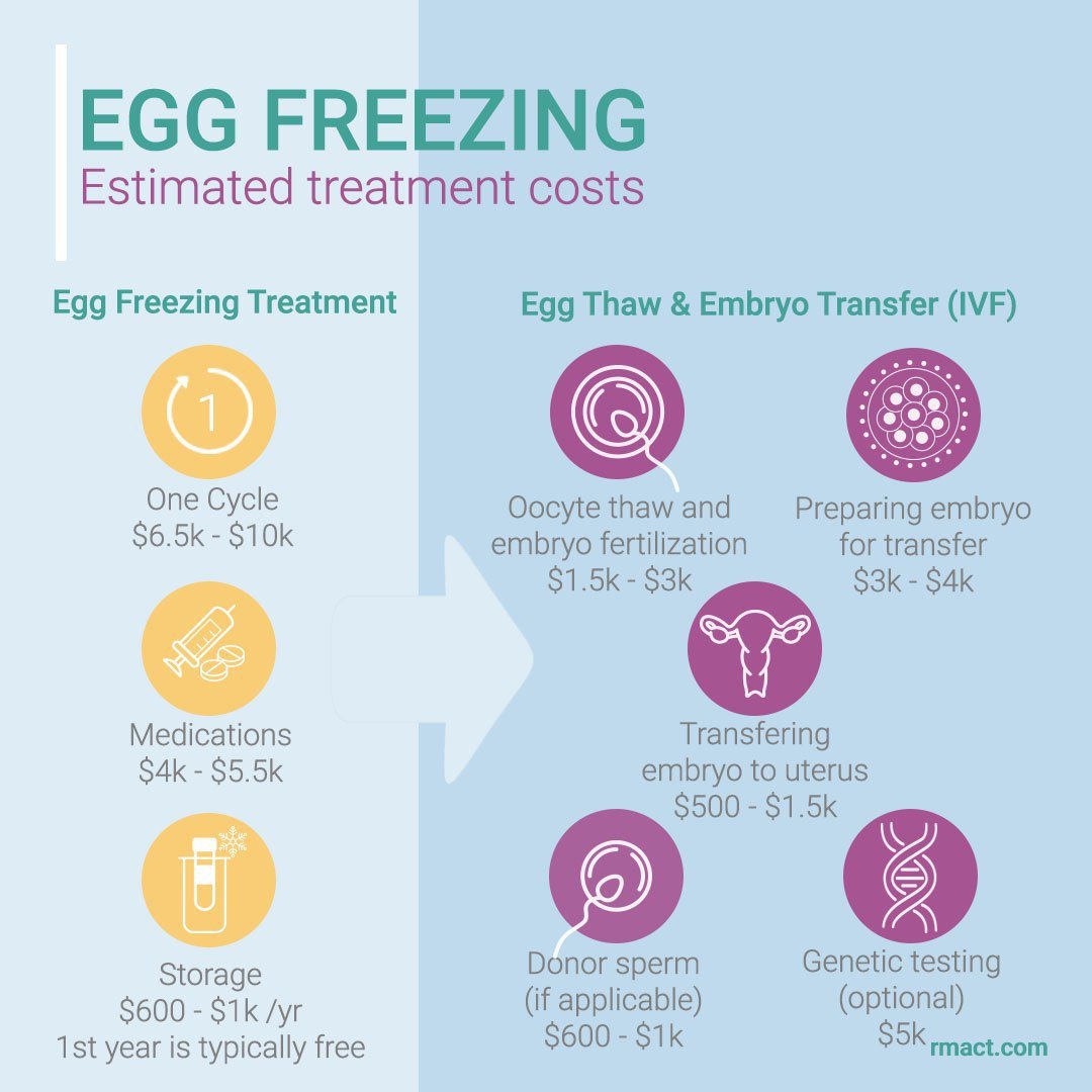 How Much Does Egg Freezing Cost?