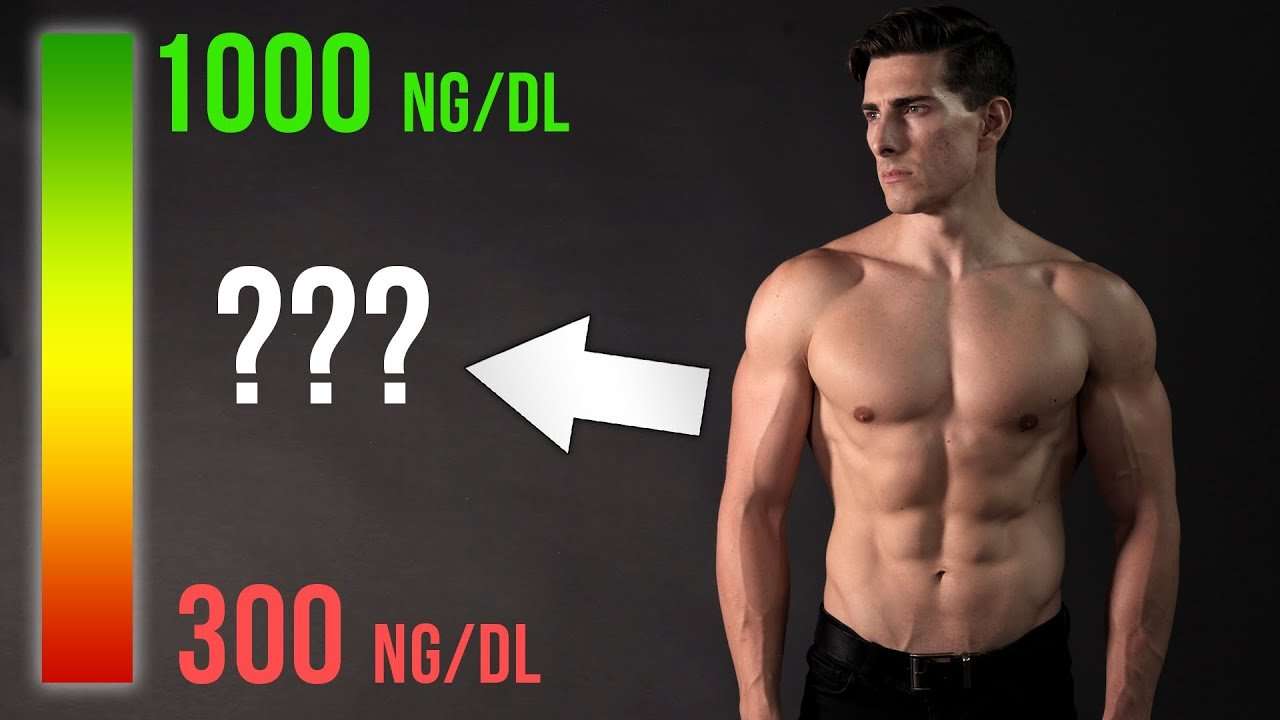 How Testosterone Affects Your Body