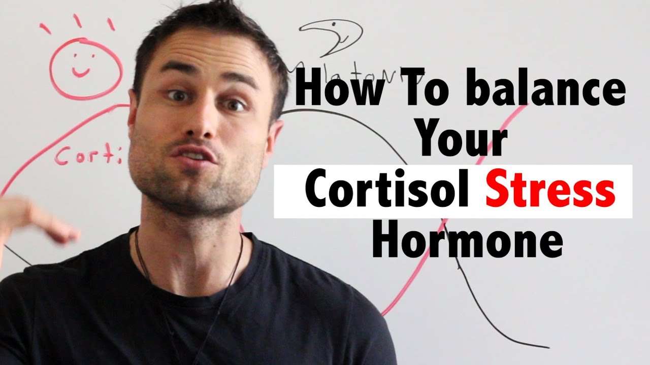 How To balance Your Cortisol Stress Hormone For Sleep ...