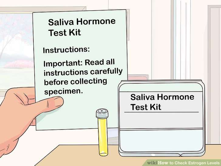 How to Check Estrogen Levels: 10 Steps (with Pictures ...