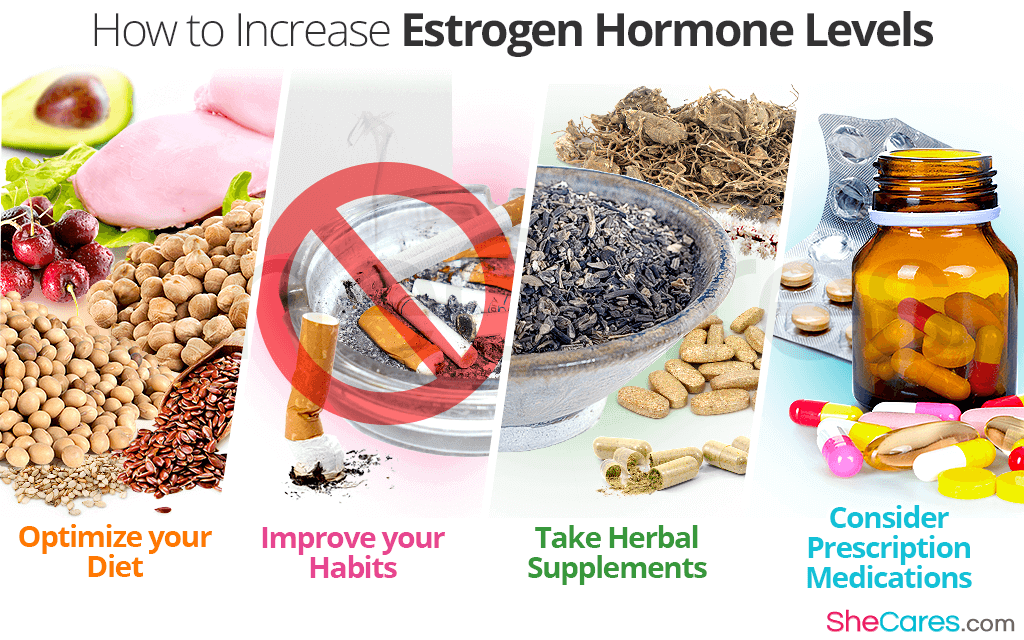 How to Increase Estrogen Hormone Levels