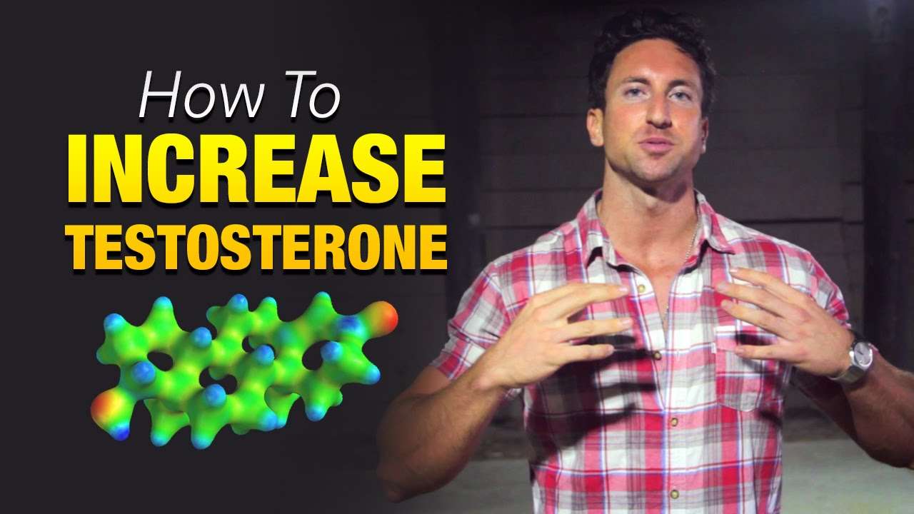 How To Increase Testosterone Naturally &  Become An Alpha ...