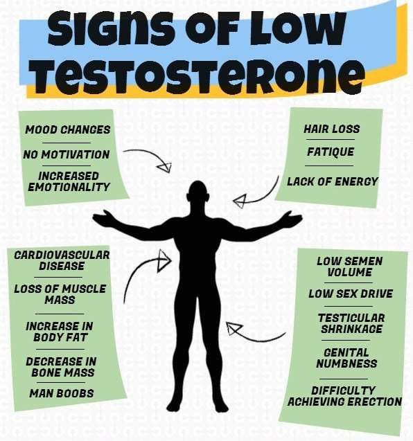 How to Increase your Testosterone Naturally