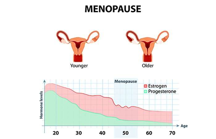 How To Prevent Menopausal Weight Gain