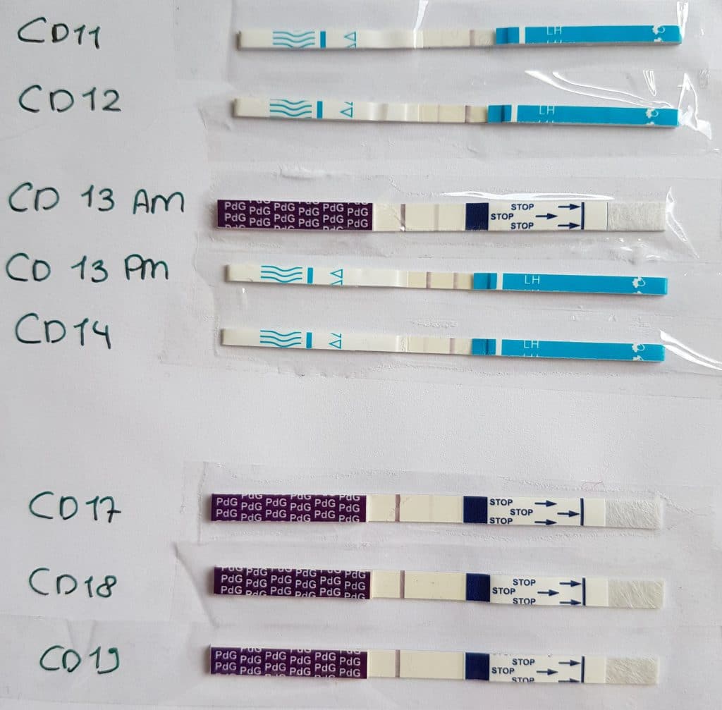 How to use cheap ovulation tests: LH strips