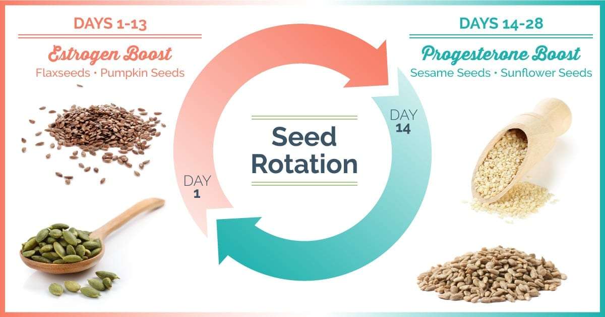 How To Use Seed Rotation to Balance Hormones in Women
