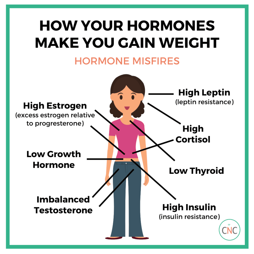 How your hormones make you acquire weight  carrot cake and carrots ...