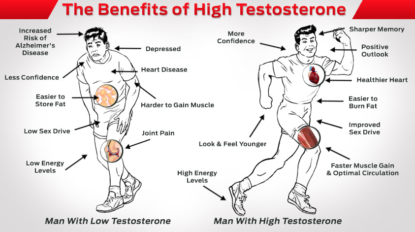 Importance of High Testosterone Levels