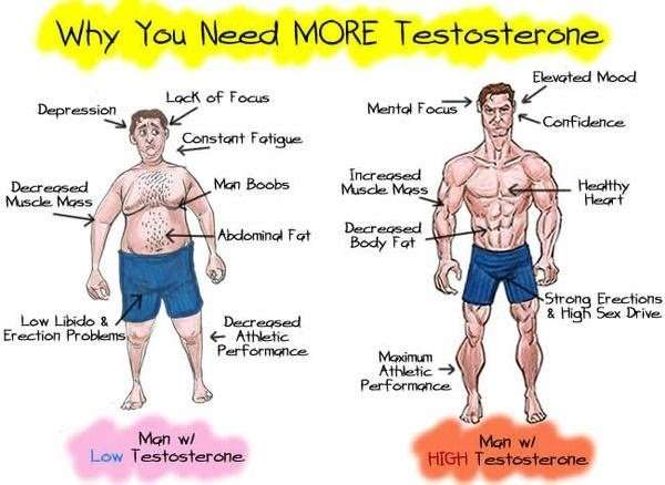 Increase Testosterone Naturally Through These 2 Methods